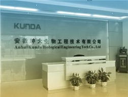 一呼百應 技術賦能，智聯未來——上海技術咨詢頻道解析